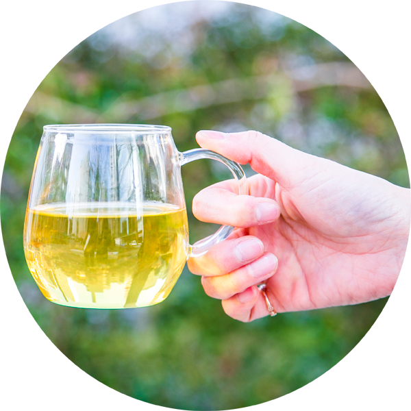 ハーブティー調合所ひととき,ハーブティー調合所,ひととき,ハーブティー調合所 ひととき,ハーブティー,福岡,天神,販売,通販,ネットショップ,ネットショッピング,オンライン,旅するハーブティー